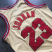Michael Jordan #23 Chicago Bulls Mitchell & Ness 1995-96 Hardwood Classics Special Gold Jersey