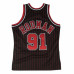 Dennis Rodman 1995-96 Chicago Bulls Jersey
