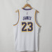 LeBron James #23 Los Angeles Lakers Association Edition White Jersey